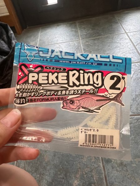 アジングでチヌ