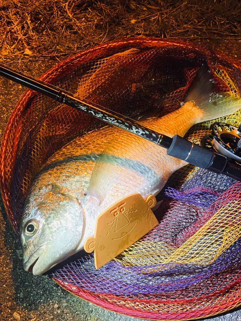 ヘチってきました