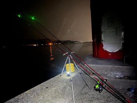 雨の中投げてきました