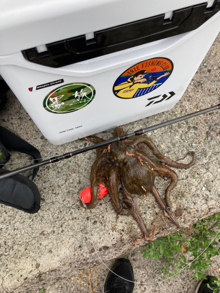 ☆泉州リベンジャーズ