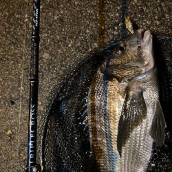 トリプルクロスでチニング大勝利！