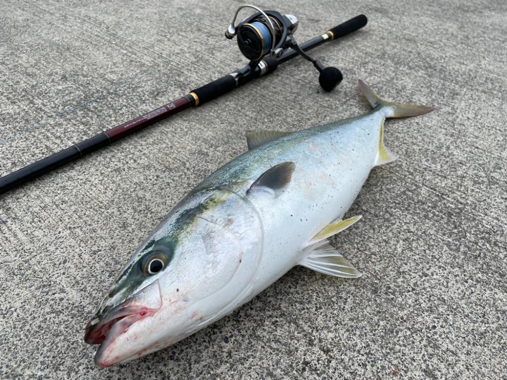 ショアジギング