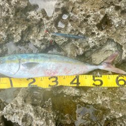 やっと釣れた〜