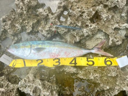 やっと釣れた〜