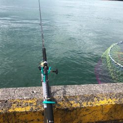 アジングからののませ釣り