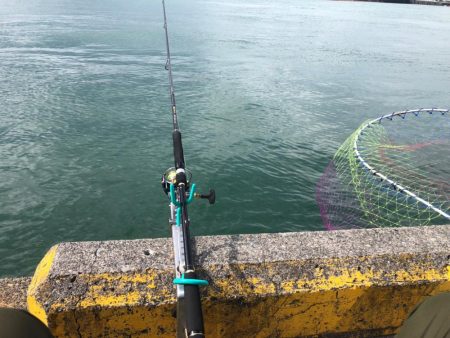 アジングからののませ釣り