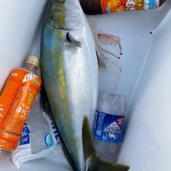 明石沖ジギング