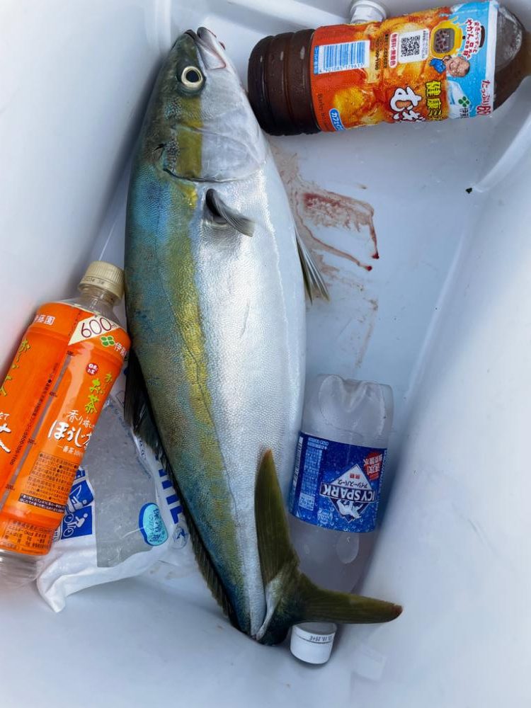 明石沖ジギング