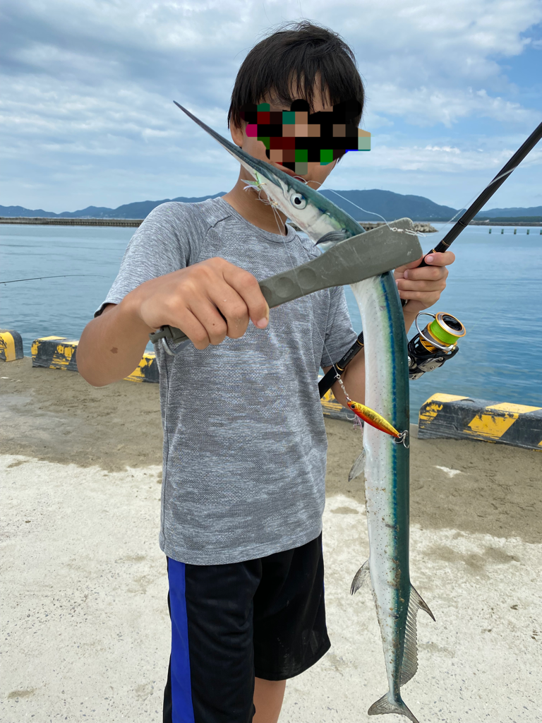 タチウオ不発の代わりが、、、