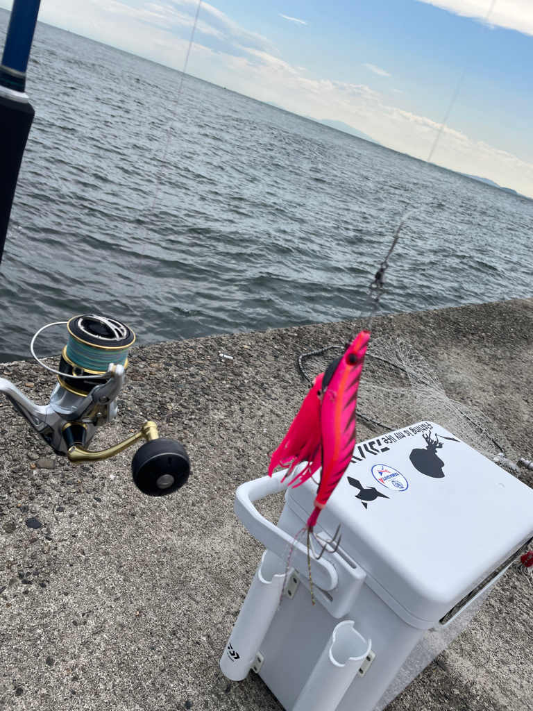 初めてのタコ🐙