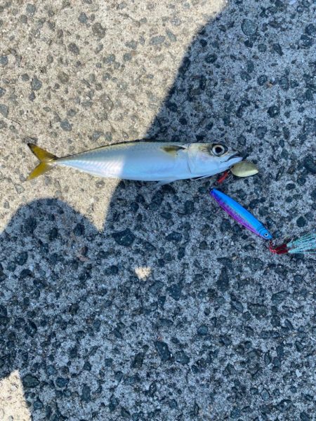 西宮ケーソンでジギング