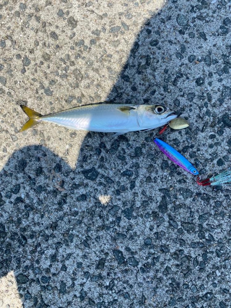 西宮ケーソンでジギング