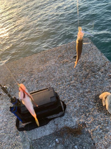 ちっちゃいのがいっぱい