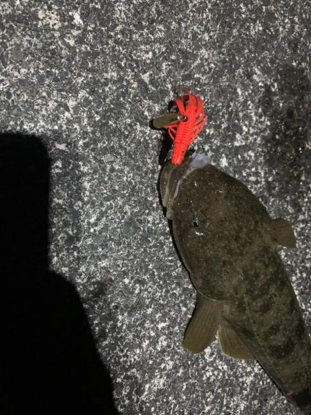 マゴチにきじはたに贅沢三昧