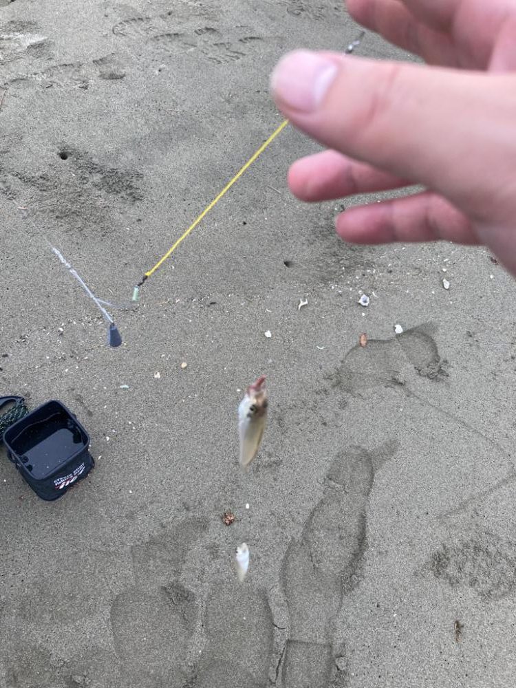 親子でキス釣り