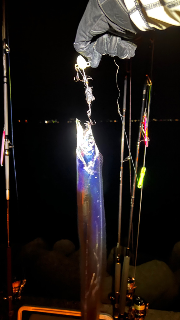 【記録更新🤓】明石ショアジギング&太刀魚