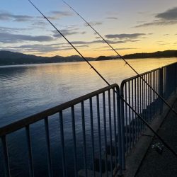 宮津へのキス釣