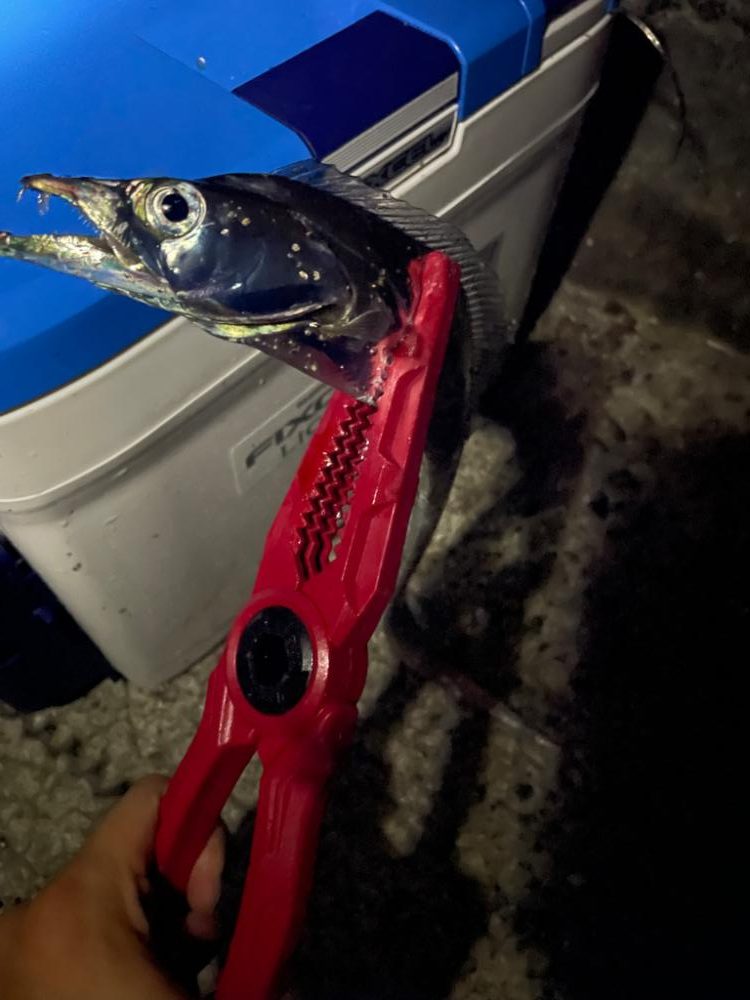 太刀魚釣りに行きました