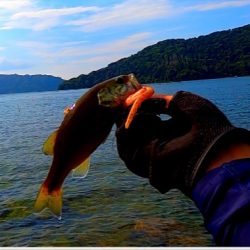 真夏のロックエリア