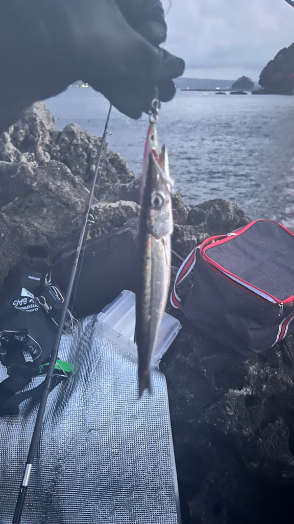 1泊2日串本遠征