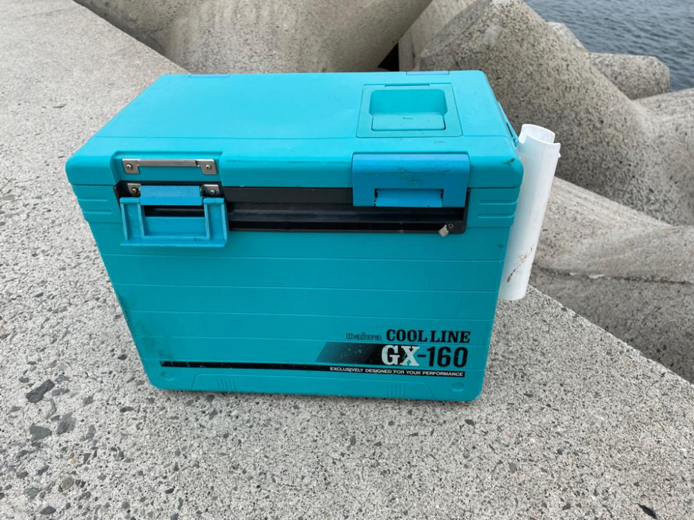 久しぶりに、、‼️