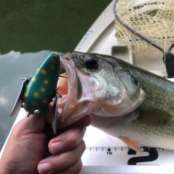 カヤックデビュー戦！