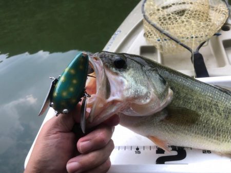 カヤックデビュー戦！