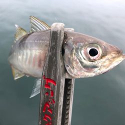 雨予報だったじゃん