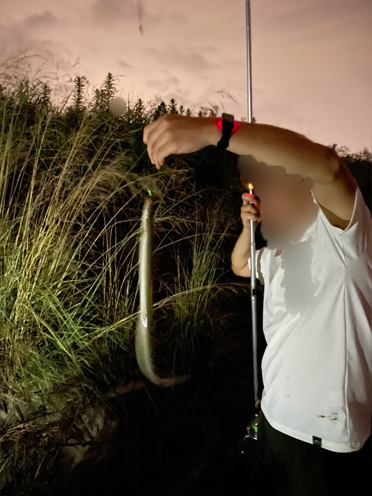 ハゼ&ウナギ釣り