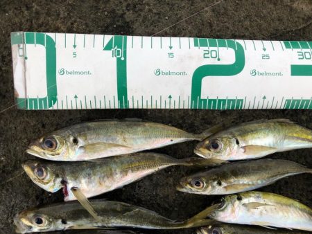 2022 佐渡ヶ島ライトゲーム＆エギング