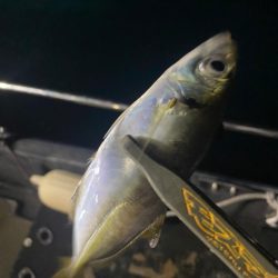 ボートアジング