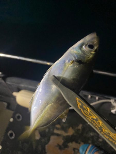 ボートアジング