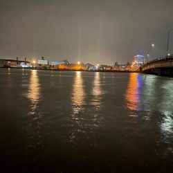 コノシロゲームw