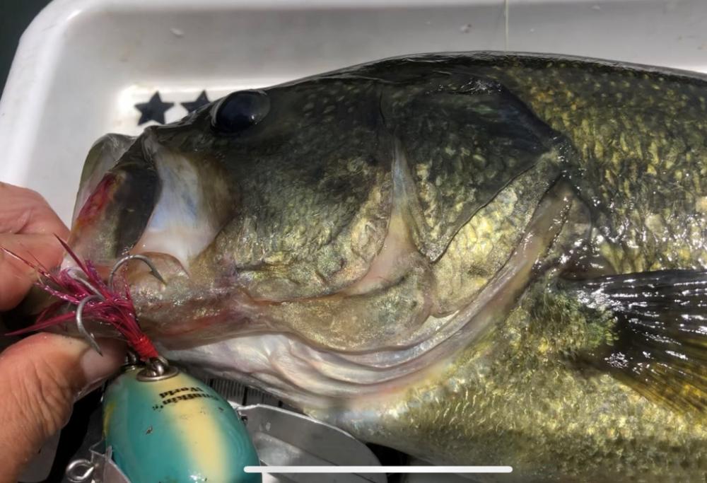 カヤック２回目！