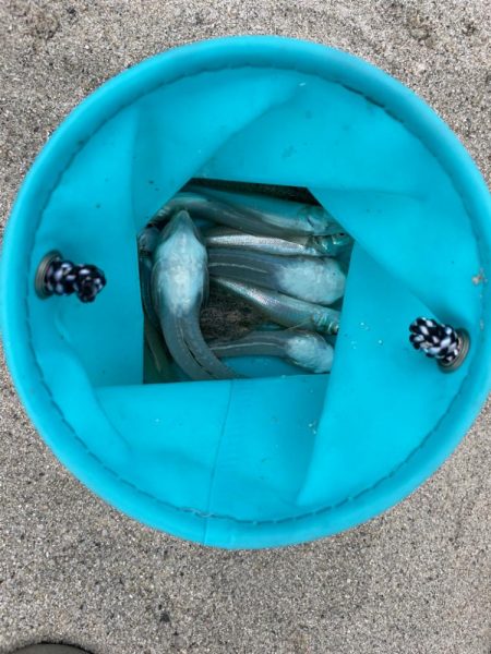 ジギングタックル流用投げ釣り