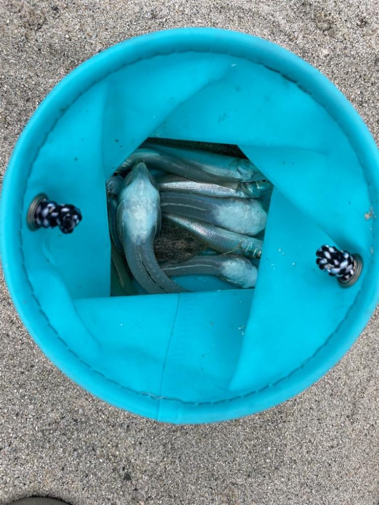 ジギングタックル流用投げ釣り