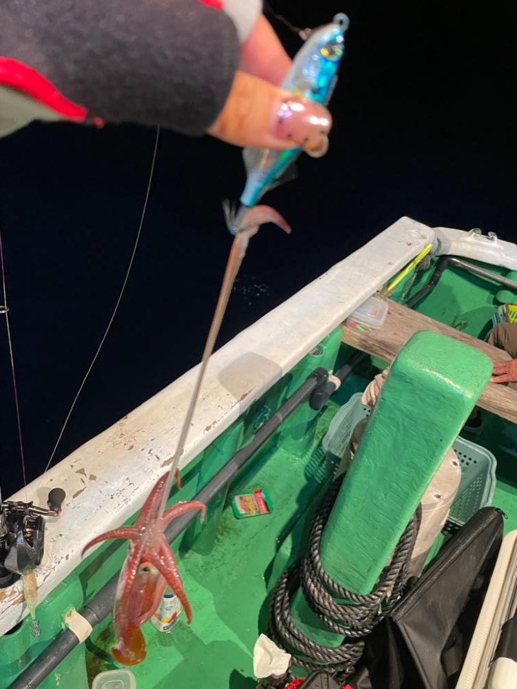 リベンジイカメタル