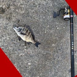 良い型を目指して