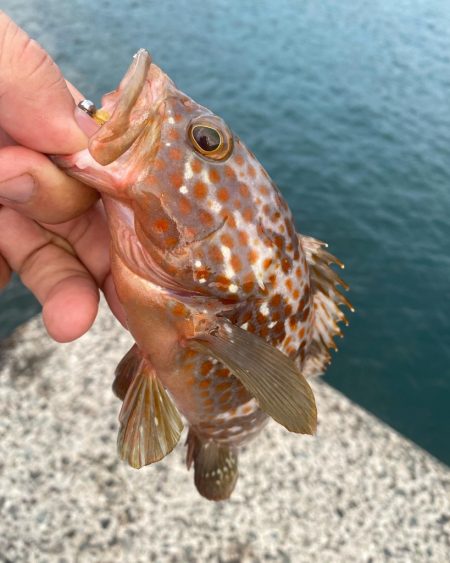 カスタムロッドとの相性