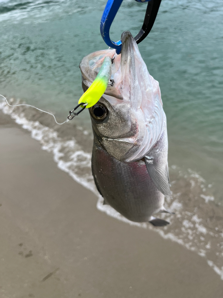 日帰り出張2回目