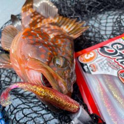 ロックフィッシュゲーム