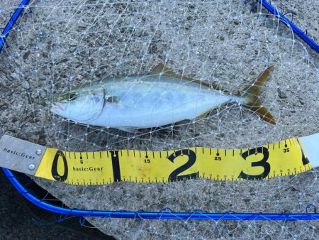 釣れたら楽しい