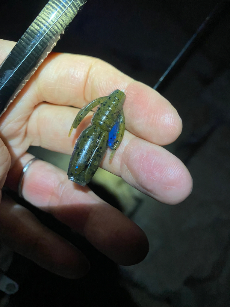 淀川ブリームゲーム