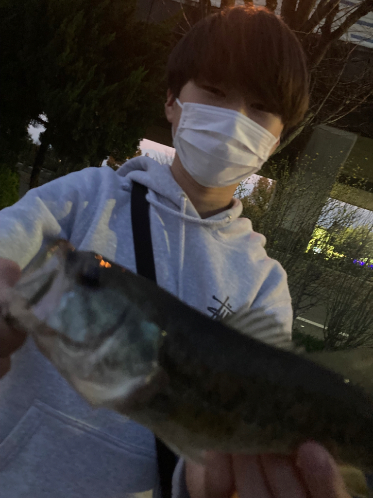 紀の川バス釣り爆釣