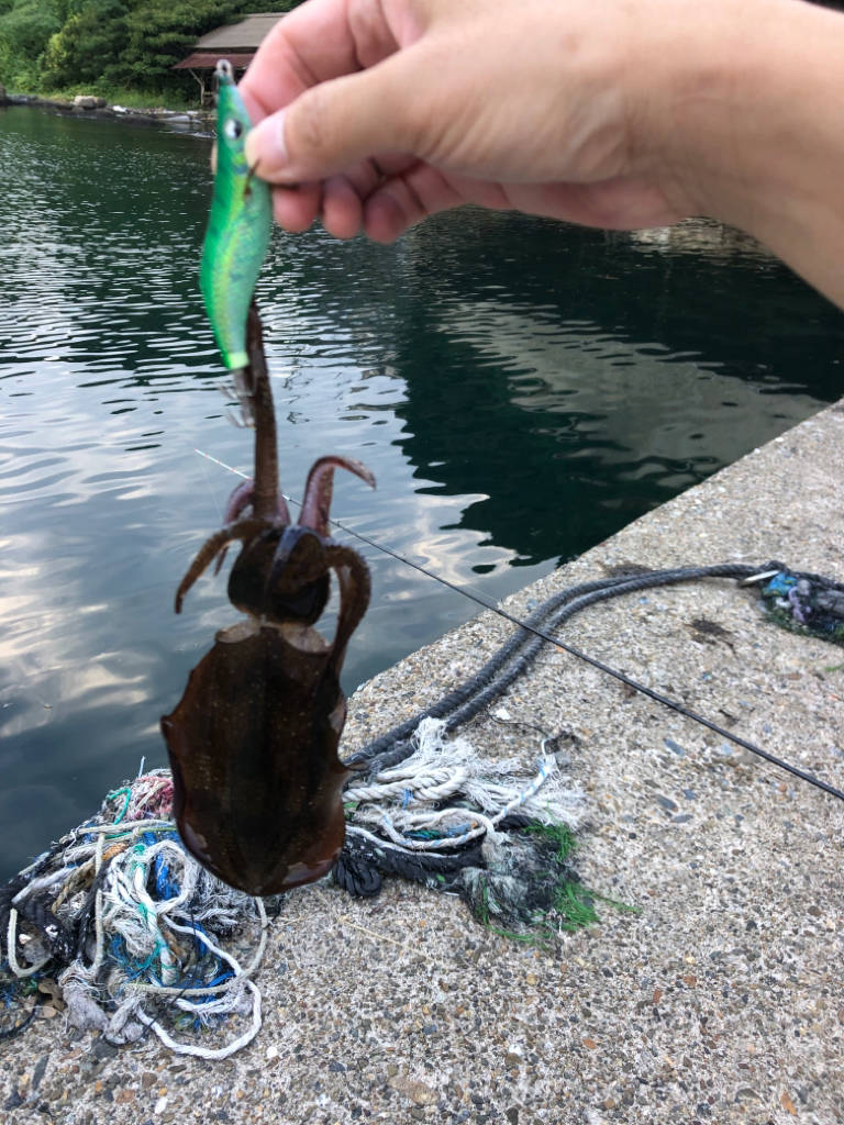 【新子調査】伊根〜京丹後巡り①