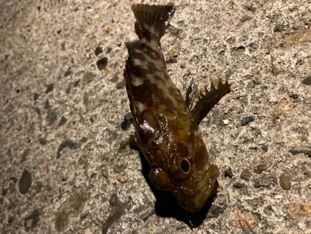 ライトゲームしてたら