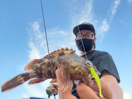 湾奥ライトゲーム！