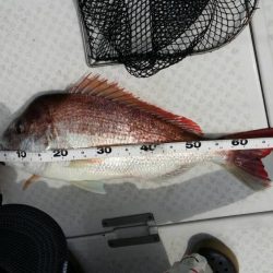 船でのモンスターハンターに挑戦！