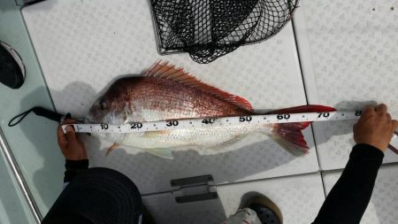 船でのモンスターハンターに挑戦！