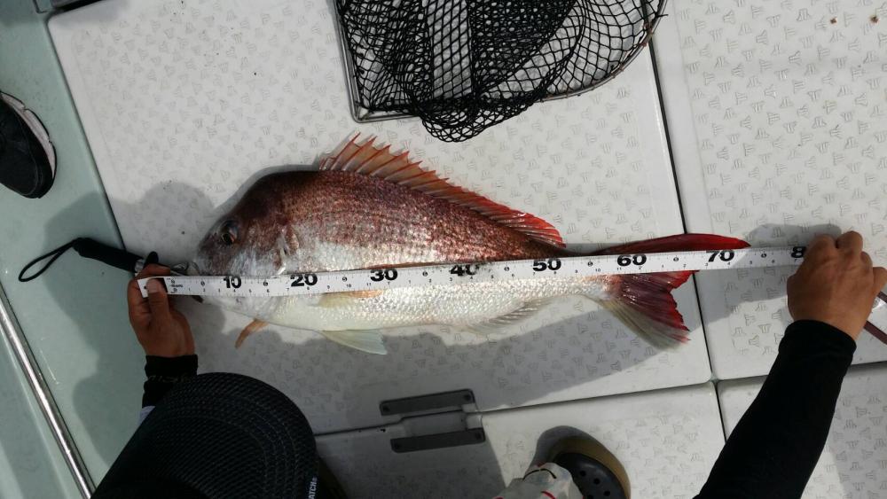 船でのモンスターハンターに挑戦！